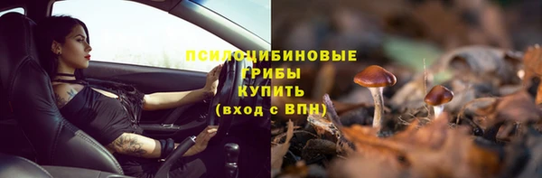 2c-b Аркадак