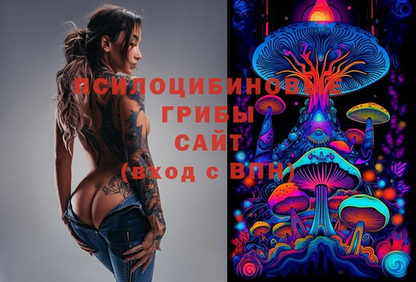 2c-b Аркадак